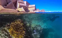 Tamaulipas se suma a Estrategia nacional de limpieza y conservación de las playas Tamaulipas se suma a Estrategia nacional de limpieza y conservación de las playas