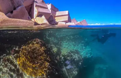 Tamaulipas se suma a Estrategia nacional de limpieza y conservación de las playas