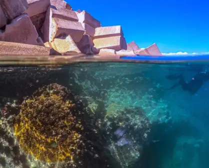 Tamaulipas se suma a Estrategia nacional de limpieza y conservación de las playas