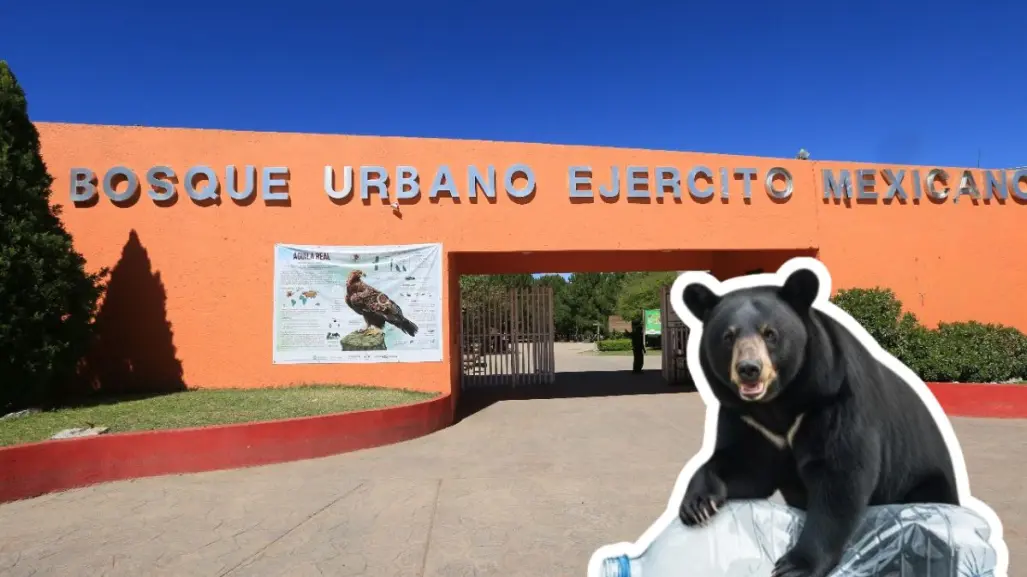 ¿Qué puedes encontrar en la feria del día mundial del medio ambiente en Saltillo?