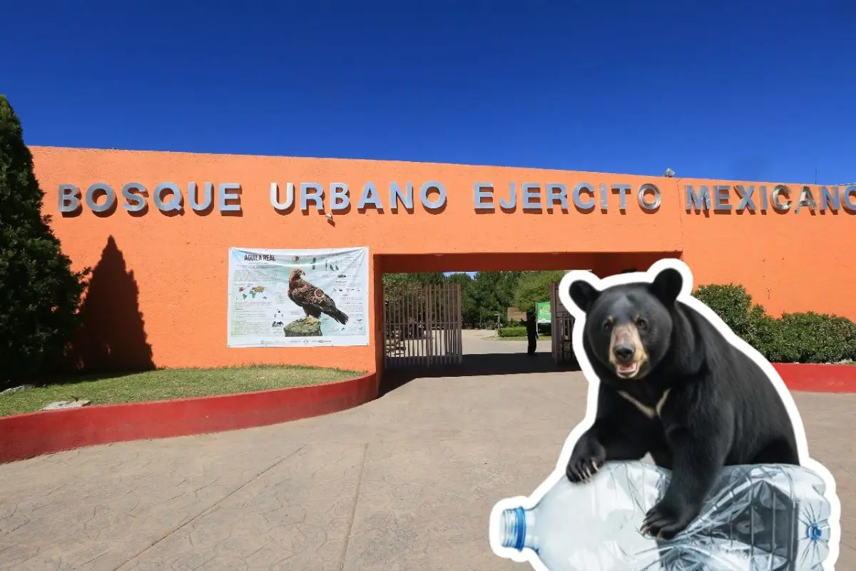 Feria del Medio Ambiente en el Bosque Urbano. Foto de gobierno y SMA.