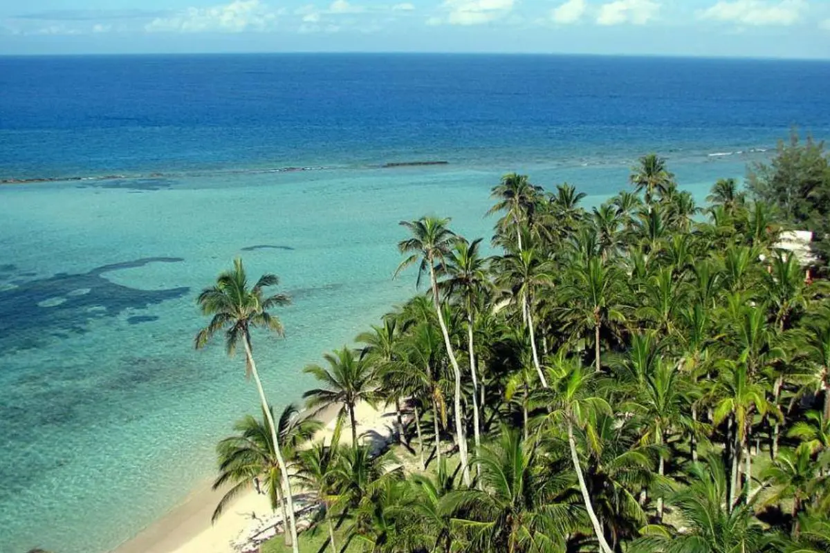 Vista aérea de la Isla de Lobos. Foto: Facebook Isla Lobos