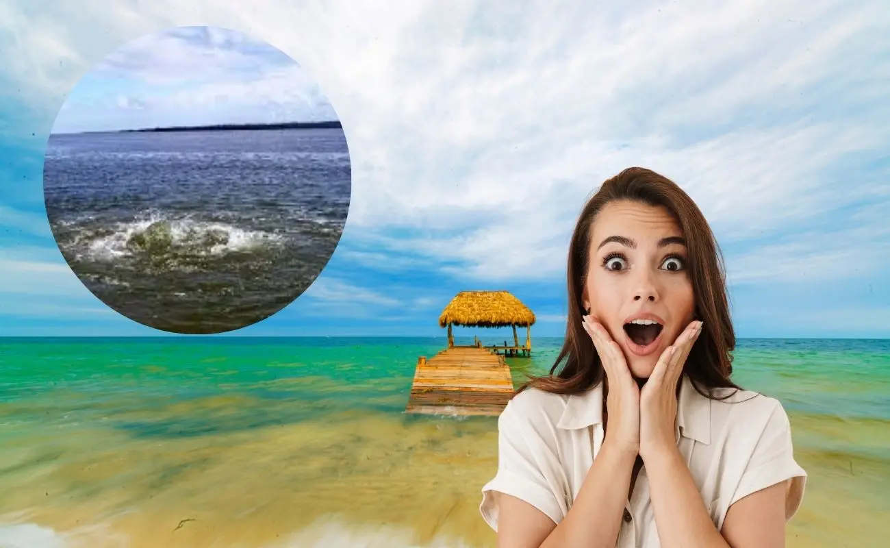 ¿Qué hace especial al ojo de agua Xbuya Ha? Foto: Canva|Yucatán Travel