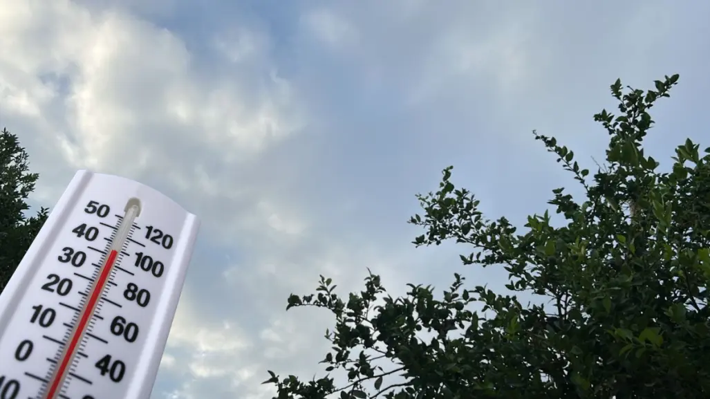 Clima en BCS: ¿cómo estará el pronóstico del tiempo para este domingo de elecciones?