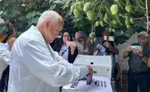 Víctor Castro vota y niega promoción de acordeones en Elecciones Judiciales de BCS