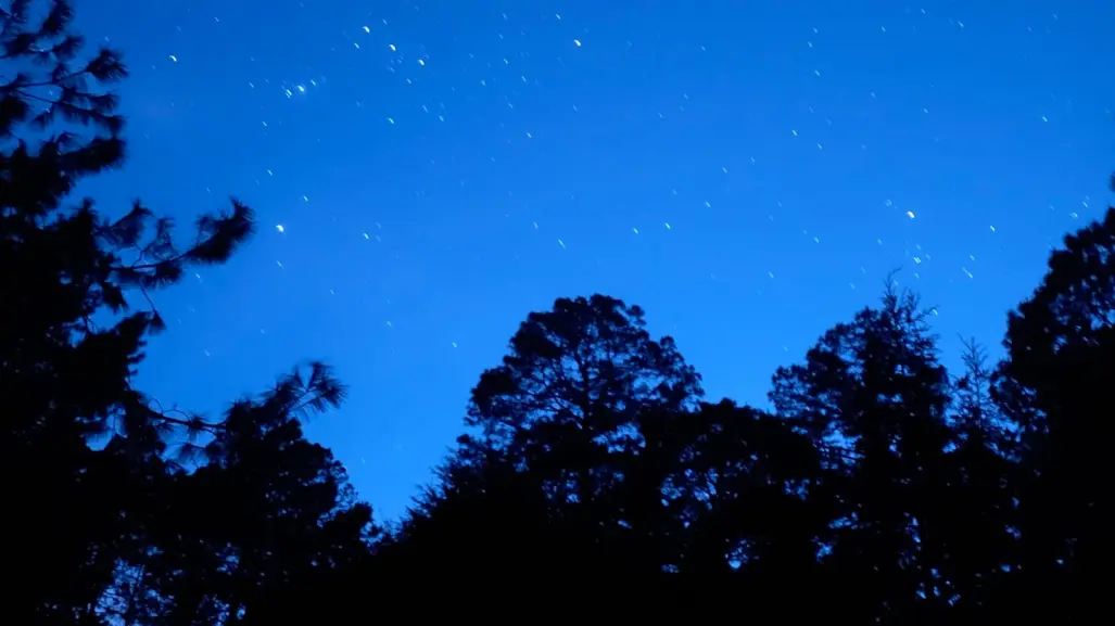 ¿Quieres acampar en el bosque de Durango? Ten en cuenta esto entre junio y agosto