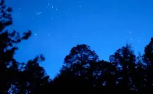 ¿Quieres acampar en el bosque de Durango? Ten en cuenta esto entre junio y agosto