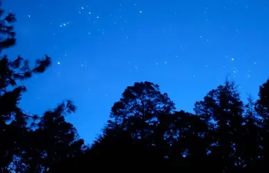 ¿Quieres acampar en el bosque de Durango? Ten en cuenta esto entre junio y agosto