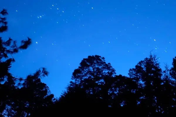 ¿Quieres acampar en el bosque de Durango? Ten en cuenta esto entre junio y agosto