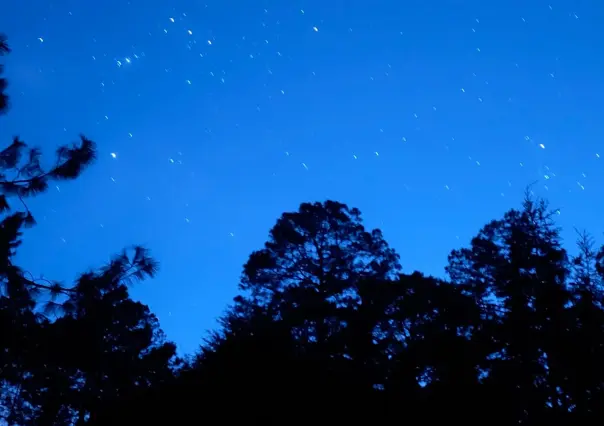 ¿Quieres acampar en el bosque de Durango? Ten en cuenta esto entre junio y agosto