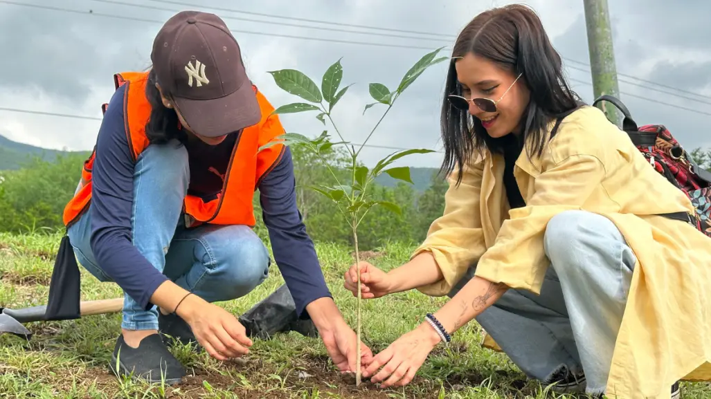 Victorenses trabajan en la reforestación de la capital, ¿de qué forma?