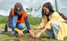 Victorenses trabajan en la reforestación de la capital, ¿de qué forma?