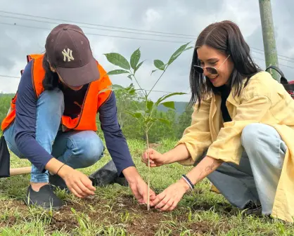 Victorenses trabajan en la reforestación de la capital, ¿de qué forma?