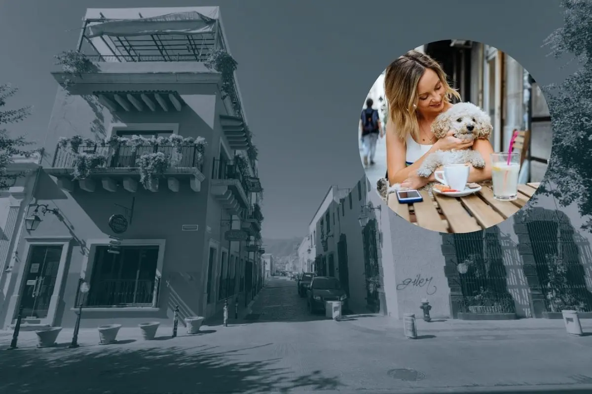 Cada vez más establecimientos en Monterrey apuestan por una convivencia más amigable entre humanos y animales. Foto: Magical Towns / CANVA