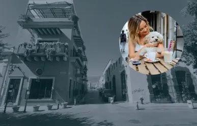 Conoce estos restaurantes de Barrio Antiguo que son amigables con las mascotas