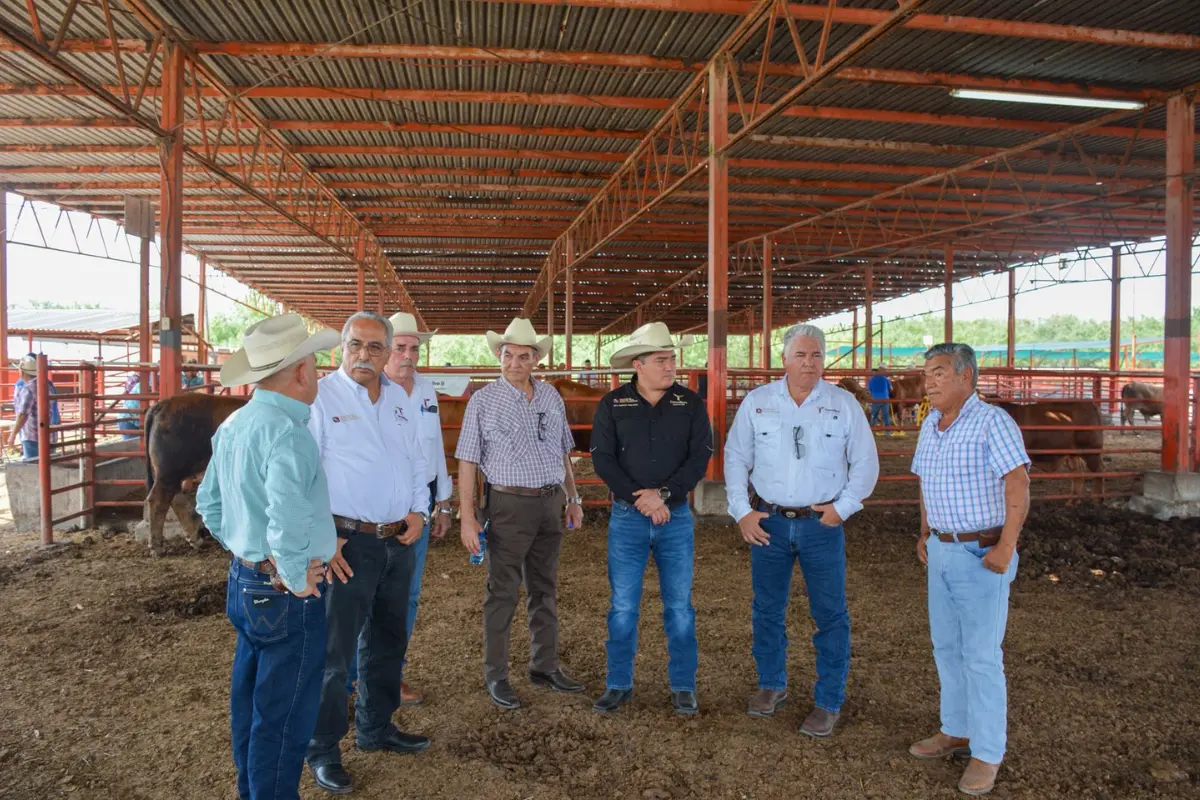 Entre las noticias que compartió, indicó que esperan la reapertura de la frontera con Estados Unidos la semana próxima y además compartió que Tamaulipas sigue libre de esta plaga. Foto: Gobierno del Estado