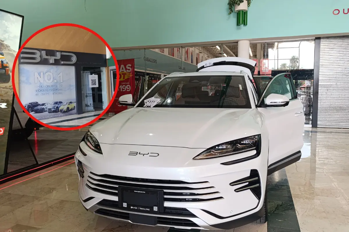La agencia BYD ya está ubicada en Gran´D Campestre, conoce los autos eléctricos | Foto: Victoria Jiménez