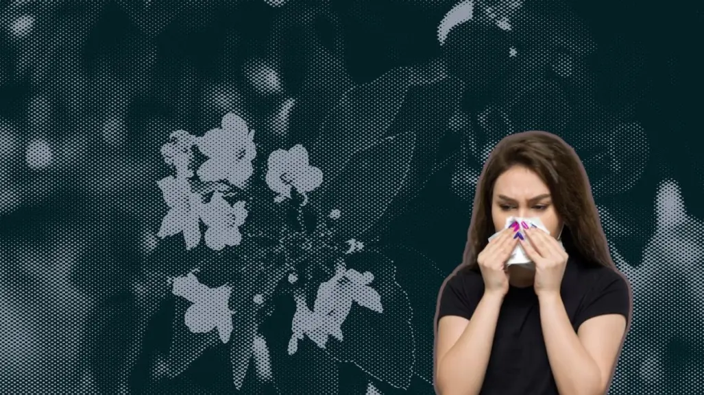 Así es como este árbol nativo de Nuevo León alivia la congestión nasal