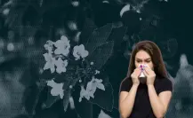 Así es como este árbol nativo de Nuevo León alivia la congestión nasal