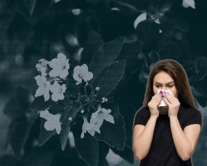 Así es como este árbol nativo de Nuevo León alivia la congestión nasal