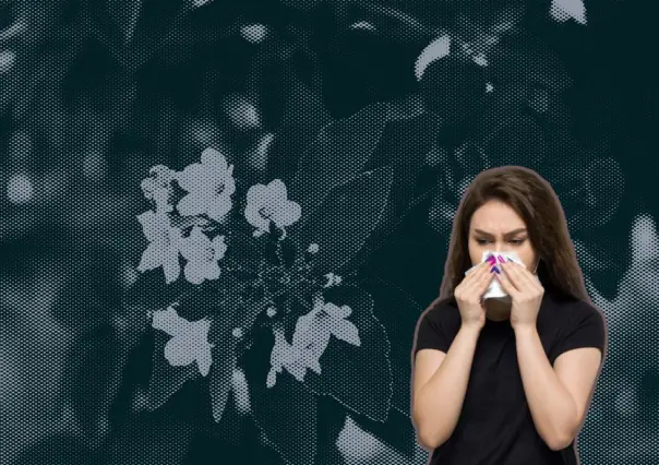 Así es como este árbol nativo de Nuevo León alivia la congestión nasal