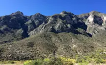 Conoce las plantas y árboles nativos de Nuevo León que podrás encontrar en el Cañón de San Pablo