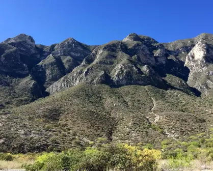 Conoce las plantas y árboles nativos de Nuevo León que podrás encontrar en el Cañón de San Pablo