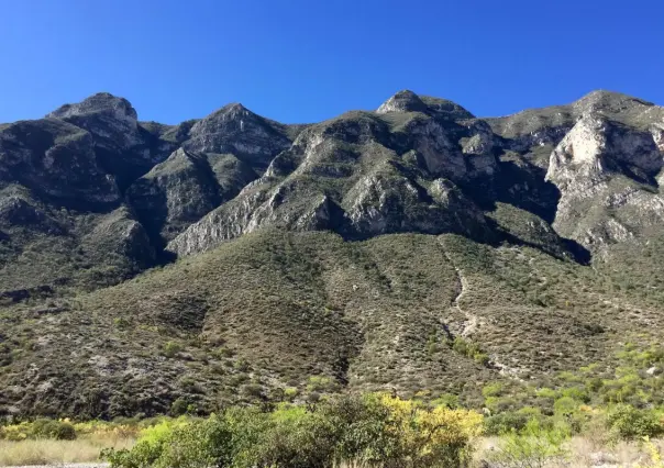 Conoce las plantas y árboles nativos de Nuevo León que podrás encontrar en el Cañón de San Pablo