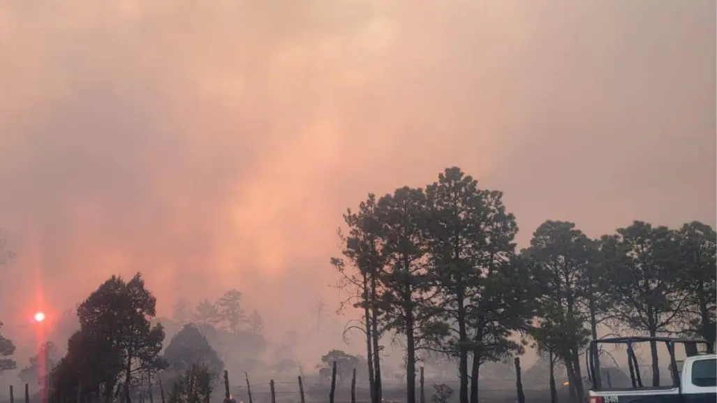 Para la lluvia y vuelven los incendios forestales a Durango; van más de 100 mil hectáreas dañadas