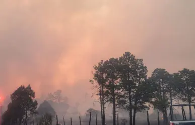 Para la lluvia y vuelven los incendios forestales a Durango; van más de 100 mil hectáreas dañadas