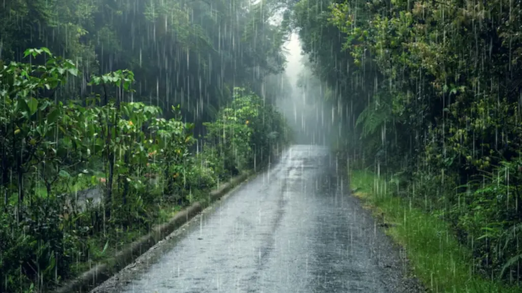 Alertan por lluvias fuertes, vientos y onda de calor en Tamaulipas este 3 de junio