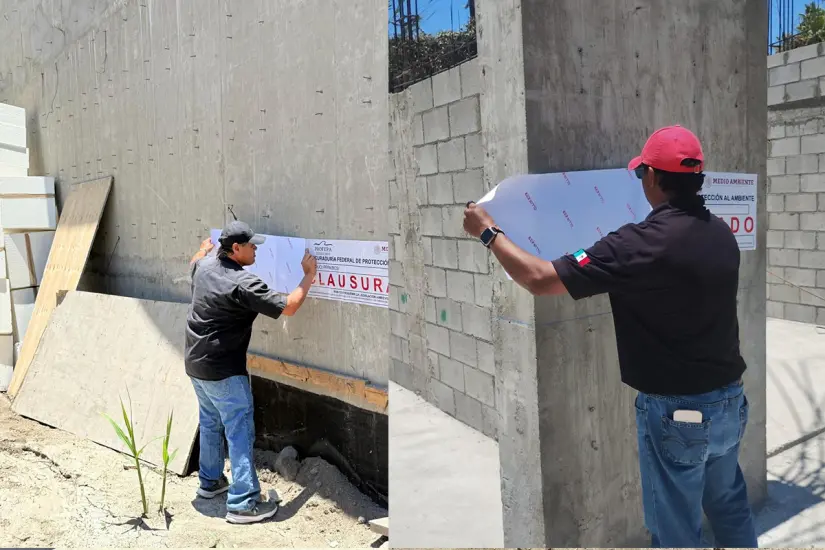 Fotos: Profepa.