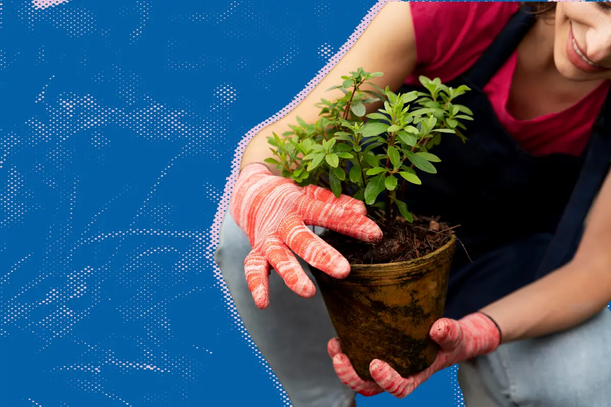 Con motivo del Día Mundial del Medio Ambiente habrá en San Pedro una serie de actividades completamente gratuitas/Foto: POSTA