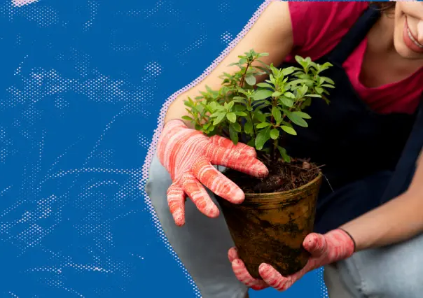 ¿Quieres aprender a plantar árboles? San Pedro te invita a su taller gratuito