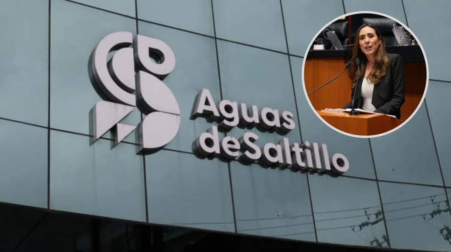 La senadora Cecilia Guadiana opinó sobre el crédito que aprobó el Congreso de Coahuila para Agsal. (Fotografía: Édgar Romero | Cecilia Guadiana)