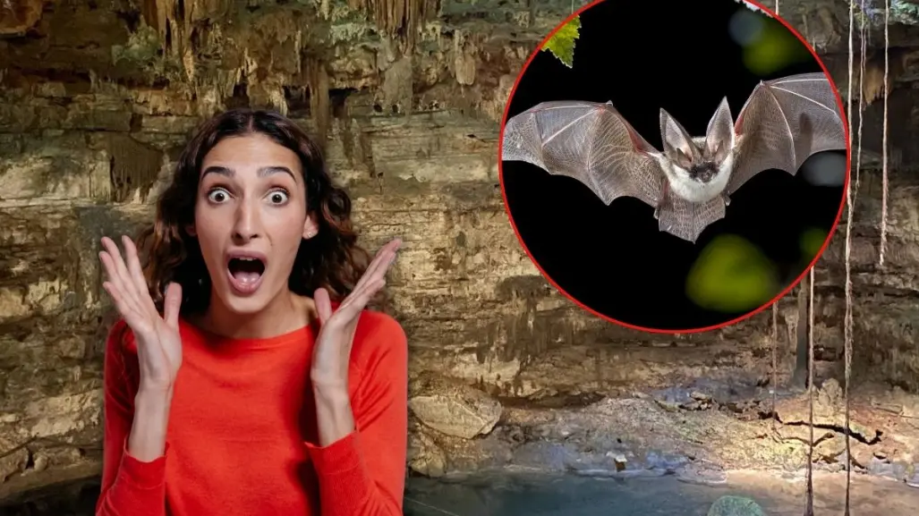 El mágico cenote de Yucatán donde se encuentra un misterioso refugio de murciélagos