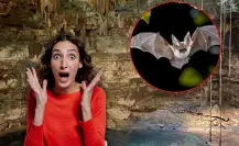 El mágico cenote de Yucatán donde se encuentra un misterioso refugio de murciélagos