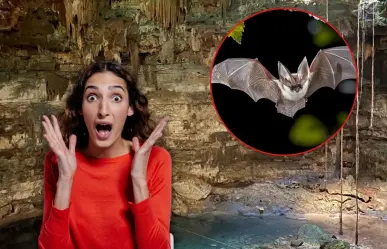 El mágico cenote de Yucatán donde se encuentra un misterioso refugio de murciélagos