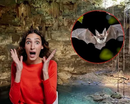 El mágico cenote de Yucatán donde se encuentra un misterioso refugio de murciélagos