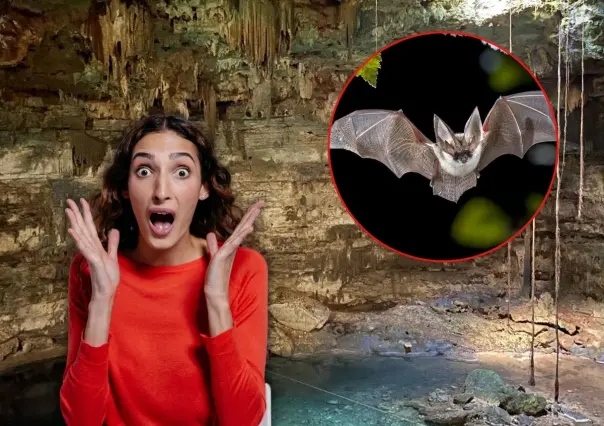 El mágico cenote de Yucatán donde se encuentra un misterioso refugio de murciélagos