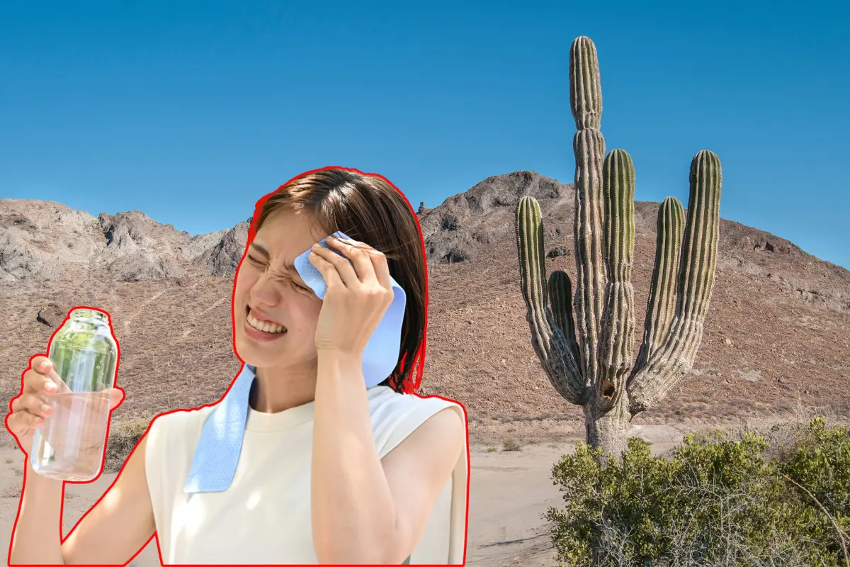 La Conagua prevé temperaturas de hasta 40°C en algunas zonas de Baja California Sur. Fotos: Canva.