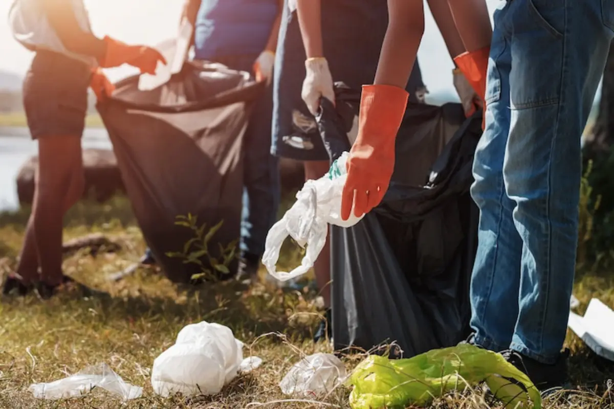 Únicamente 83 municipios o demarcaciones territoriales del país, distribuidos en 19 entidades federativas, enviaron residuos a alguna de las 48 plantas de tratamiento. Foto: Freepik