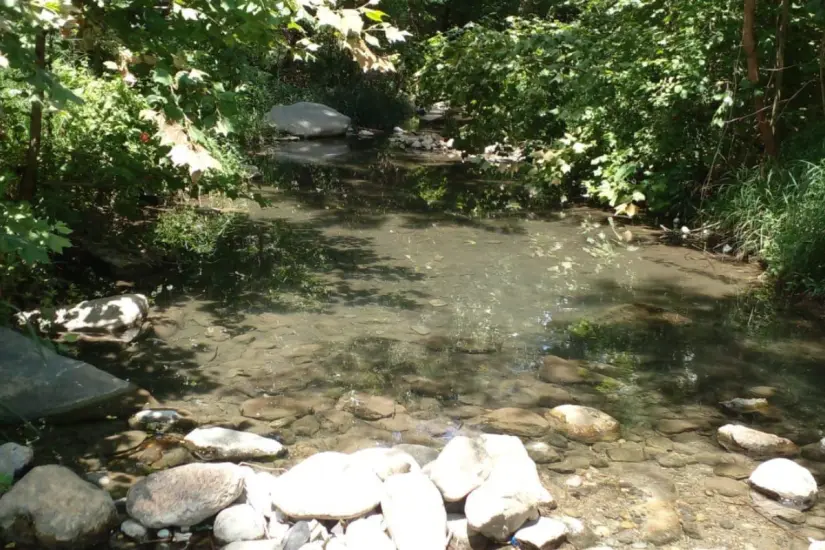 Agua que escurre desde el manantial de La Peñita. Foto: Ramón Sánchez