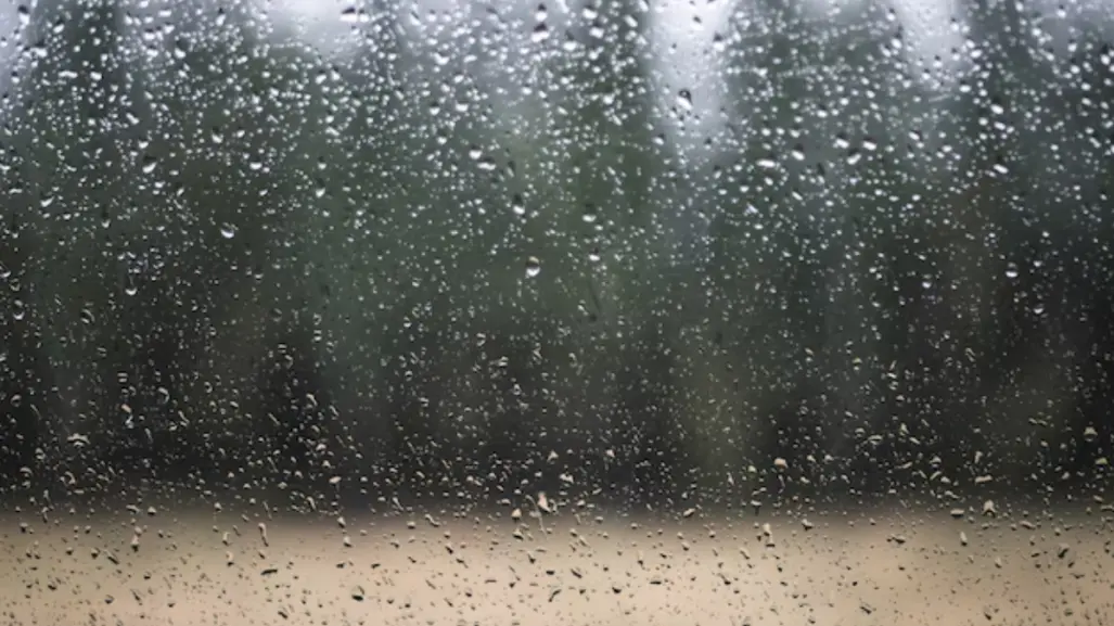Tamaulipas se prepara para lluvias y fuertes vientos este 4 de junio