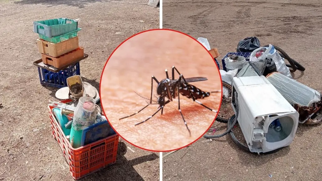 Avanza a buen ritmo campaña contra mosquitos en Yucatán