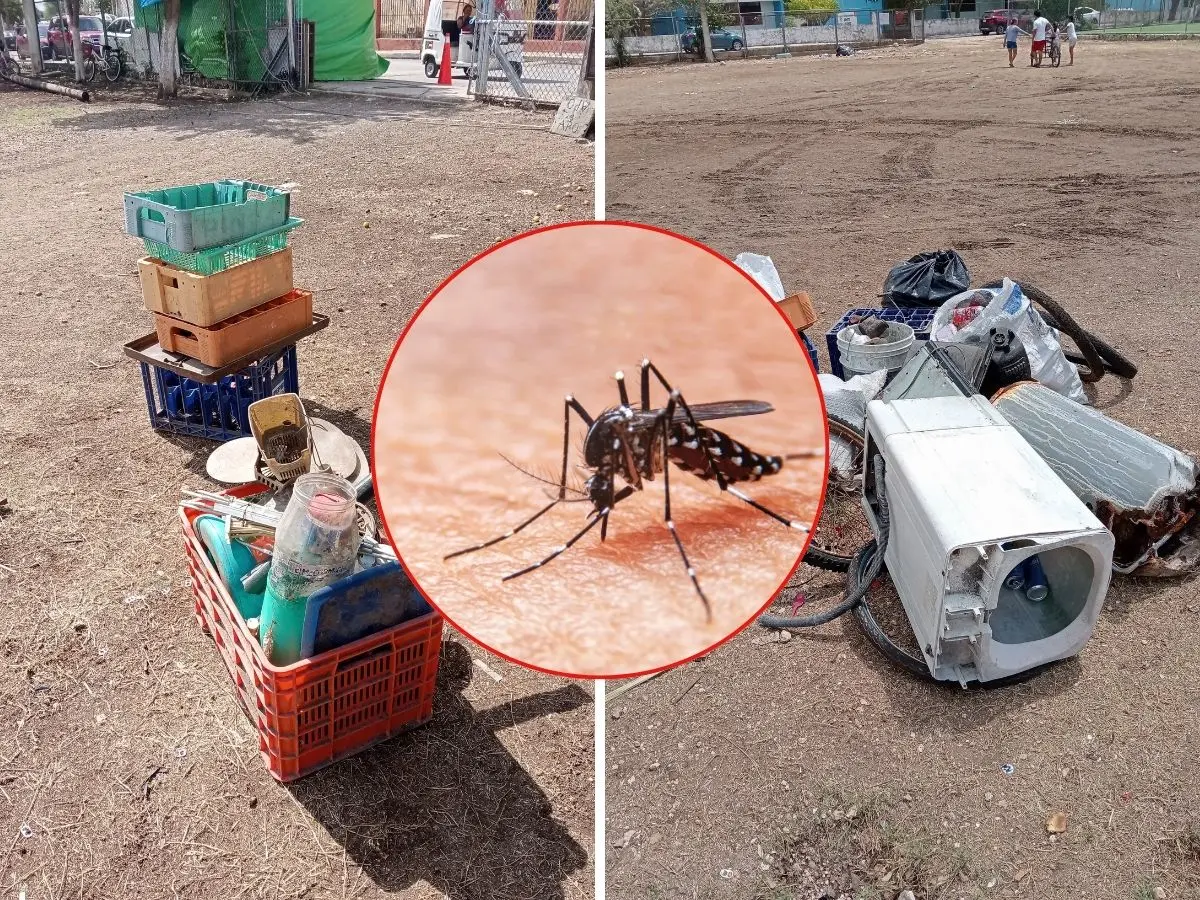 Gracias a la participación ciudadana se recolectaron 47 toneladas de criaderos potenciales en la primera fase del operativo que busca combatir al mosquito transmisor del dengue, zika y chikungunya.- Fuente Gobierno del Estado y Canva