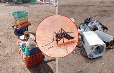 Avanza a buen ritmo campaña contra mosquitos en Yucatán
