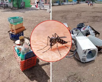 Avanza a buen ritmo campaña contra mosquitos en Yucatán