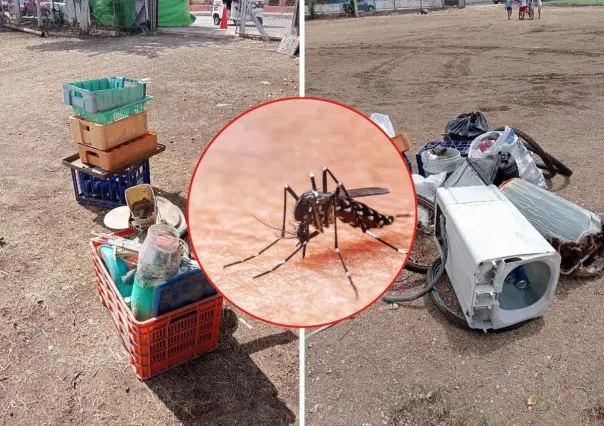 Avanza a buen ritmo campaña contra mosquitos en Yucatán