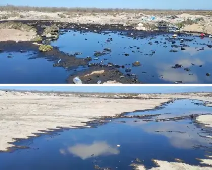 Sale a la luz tiradero clandestino en Puerto San Carlos, BCS